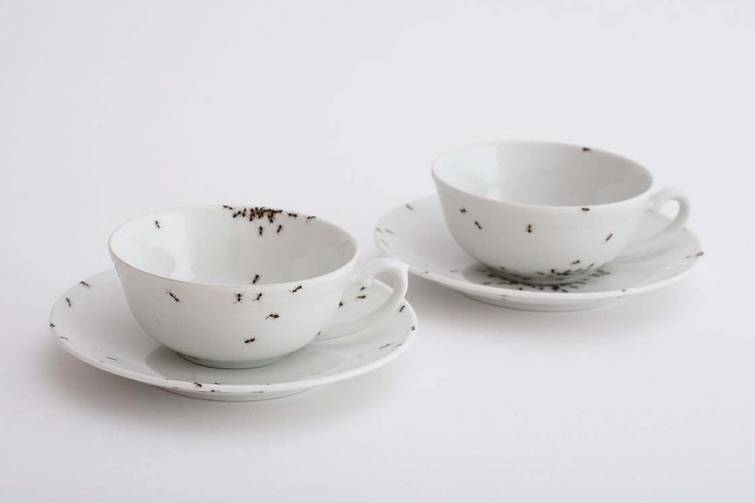 посуда с реалистичными муравьями, муравьи нарисованные на посуде